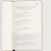 Het Originele 5-Minute Dankbaarheid Journal - Intelligent Change