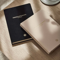 Productivity Planner - by Intelligent Change