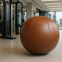 65 cm big brown yoga ball with brown leather cover in a stylish gym