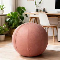 65 cm sitting ball with pinck cover
