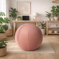 Raspberry Icecream - Pink Sitting Ball