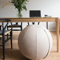 Kantoor ball