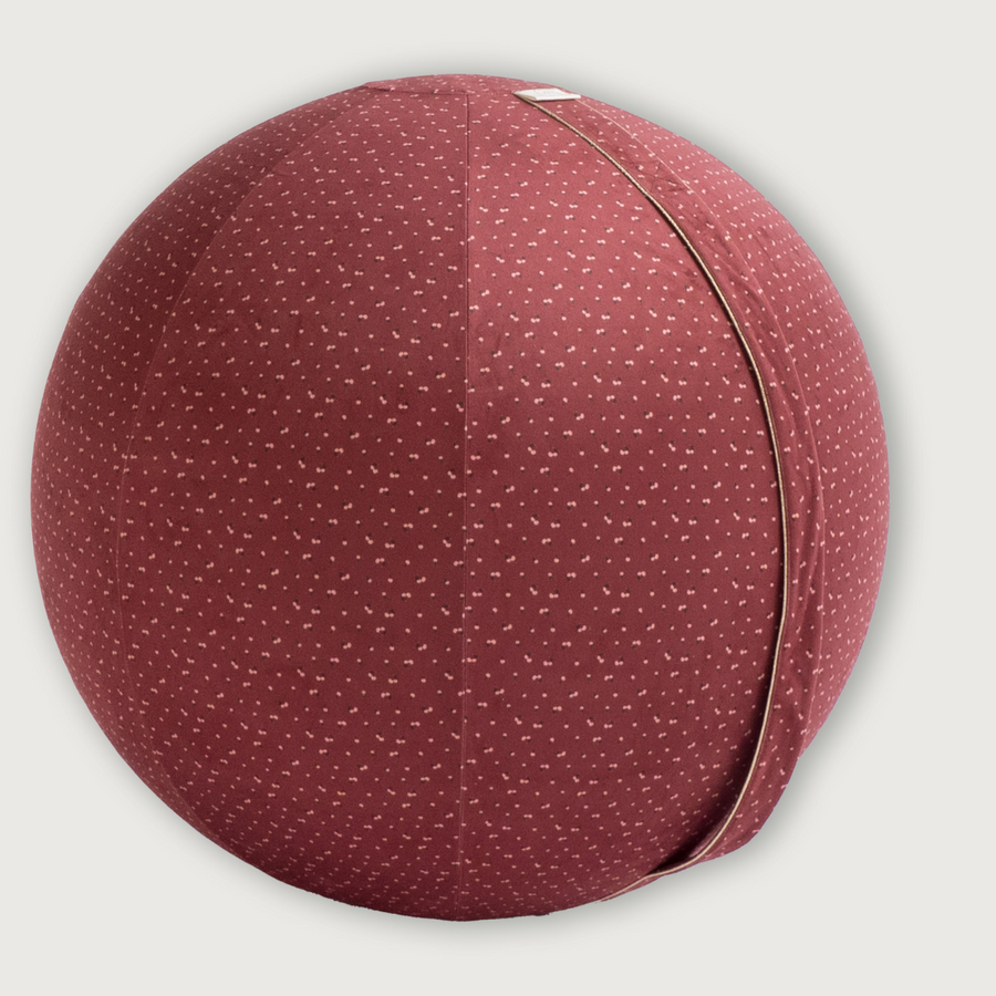 ergonomic sitting ball