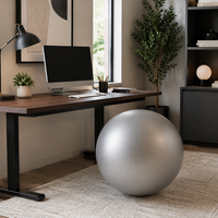 Home office with a desk, computer, and exercise ball on a rug.