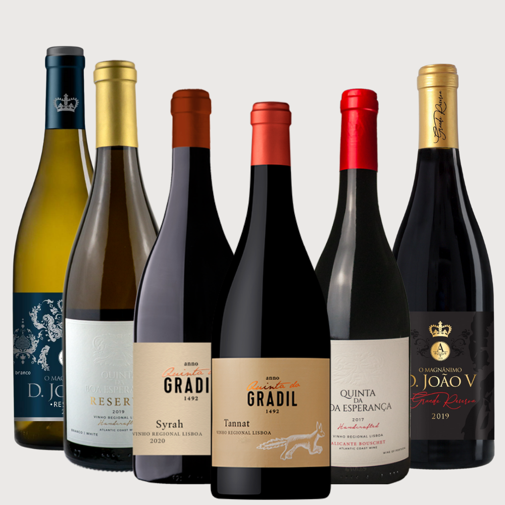 Box - Bold and Powerful