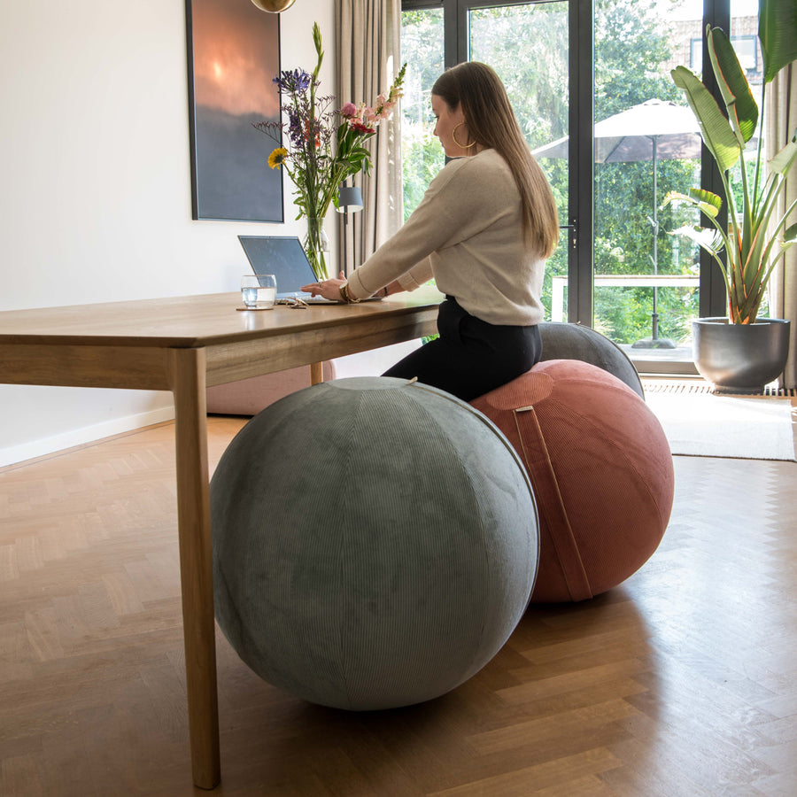 65 cm ergonomic sitting ball with fabric cover byAlex